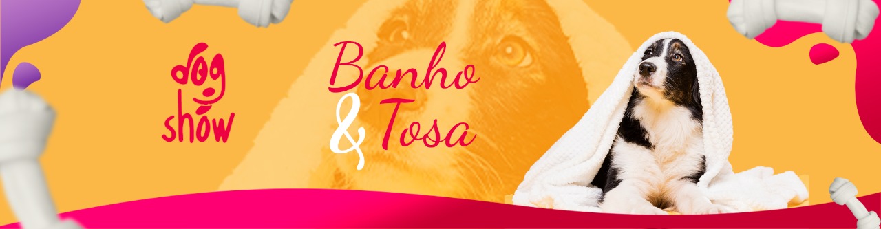 dogshow-ingleses-petshop3