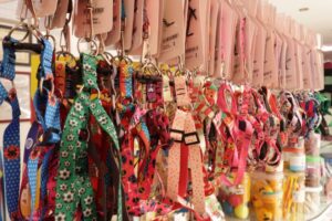 dog-show-ingleses-agropet-banho-e-tosa165