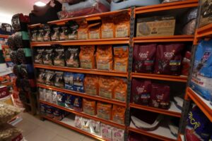 dog-show-ingleses-agropet-banho-e-tosa77